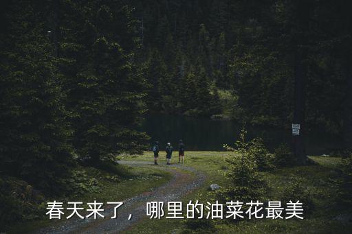 成都的油菜花哪里最好看,哪里的油菜花好看
