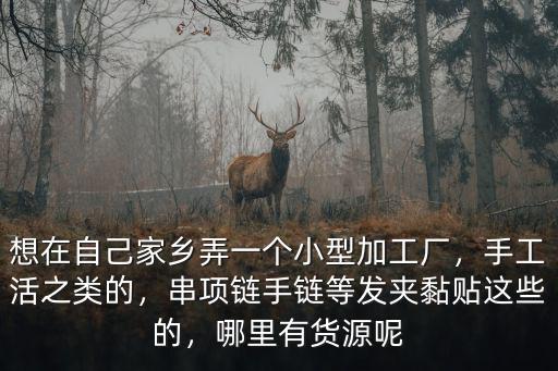 想在自己家鄉弄一個小型加工廠，手工活之類的，串項鏈手鏈等發夾黏貼這些的，哪里有貨源呢