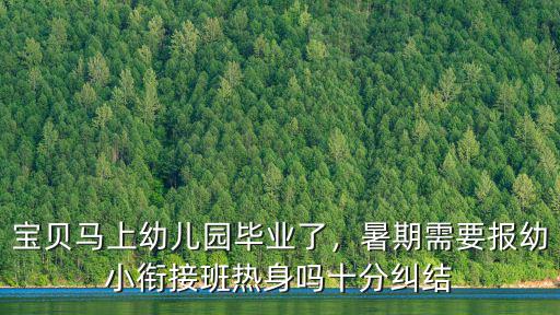 成都新都幼小銜接班哪里報,報一個幼小銜接班啊