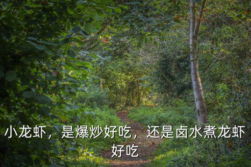 成都爆炒小龍蝦哪里好吃,哪里的小龍蝦最好吃