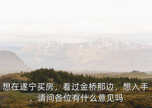 想在遂寧買房，看過金橋那邊，想入手，請問各位有什么意見嗎