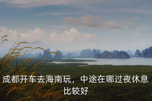 成都到阜陽自駕中途在哪里休息,成都自駕湖北