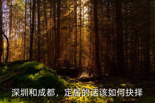 成都和深圳的教育哪里更好,成都和深圳相比