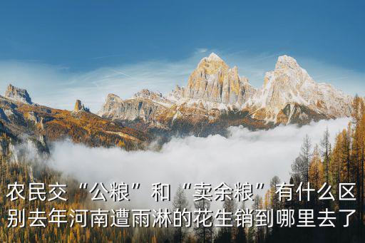河南哪里收購花生,河南花生市場的價格如何