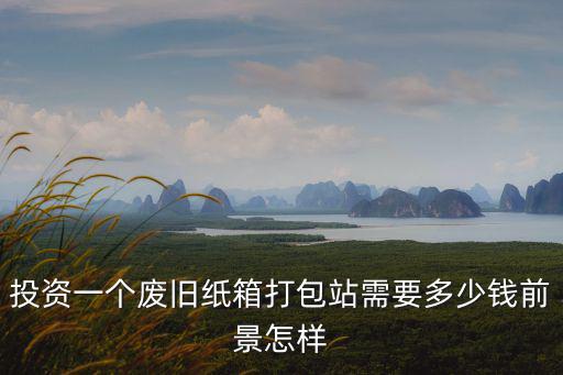 投資一個廢舊紙箱打包站需要多少錢前景怎樣
