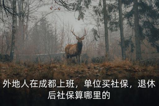 成都交社保地址在哪里,成都個人社保在哪兒繳費