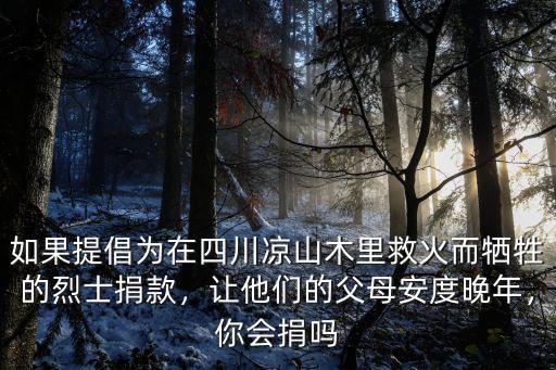 四川涼山救火英雄犧牲在哪里,四川救火英雄犧牲