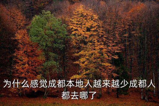 蘇詩丁成都哪里人,成都哪里比較吸引人