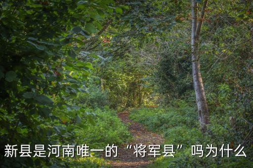 河南新縣條件怎么樣,河南信陽新縣發展的怎么樣