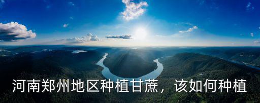 河南鄭州地區種植甘蔗，該如何種植
