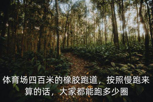 南充哪里體育場的跑道跑步舒服,體育場四百米的橡膠跑道