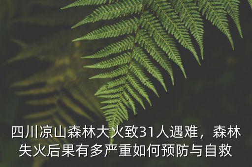 四川涼山森林大火致31人遇難，森林失火后果有多嚴重如何預防與自救