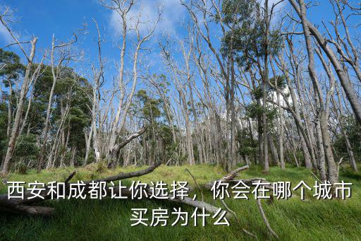 西安和成都讓你選擇，你會在哪個城市買房為什么