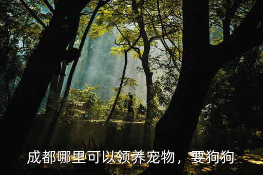 成都哪里可以寵物收養(yǎng),成都哪里可以領(lǐng)養(yǎng)寵物