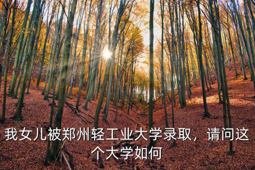 鄭州輕工業(yè)大學(xué)機(jī)電學(xué)院研究生怎么樣,鄭州輕工業(yè)大學(xué)怎么樣