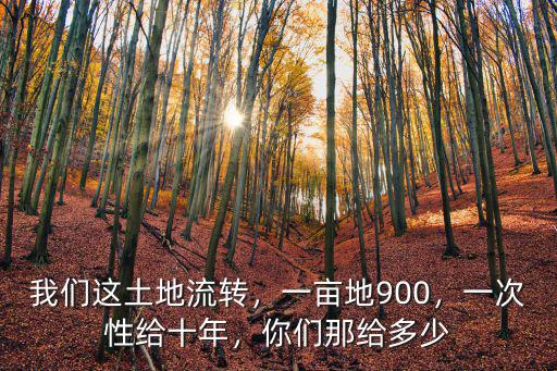 洛陽地價多少一畝租地流轉,你家鄉土地承包多少錢一畝