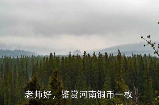 河南哪里銅錢多,鑒賞河南銅幣一枚