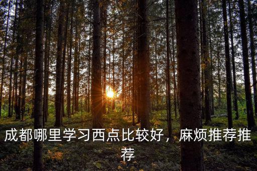 學西點蛋糕哪里好成都,四川成都蛋糕技術培訓哪里好