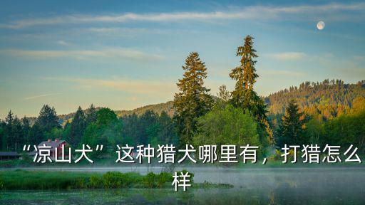 “涼山犬”這種獵犬哪里有，打獵怎么樣
