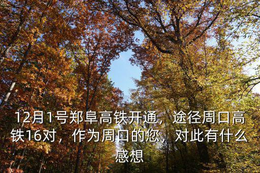12月1號(hào)鄭阜高鐵開(kāi)通，途徑周口高鐵16對(duì)，作為周口的您，對(duì)此有什么感想