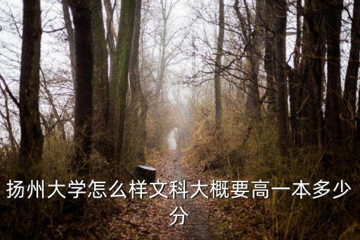 揚州大學河南文科考生要多少分,文科河南考生360分左右
