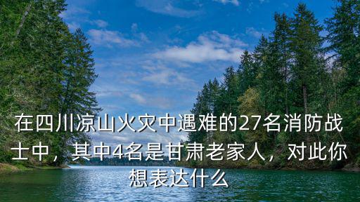 四川涼山30名英雄都是哪里人,四川涼山大火