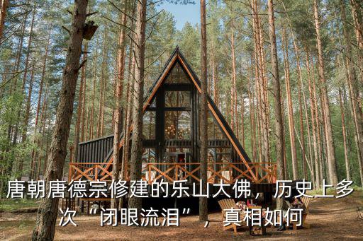 關于樂山大佛在哪里修造大佛,樂山大佛是怎樣建成的