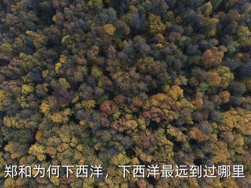 鄭和為何下西洋，下西洋最遠(yuǎn)到過(guò)哪里