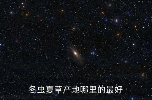 四川去哪里買蟲草,冬蟲夏草都賣到哪里去了