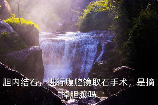 成都哪里可以保膽取石手術費用,進行腹腔鏡取石手術