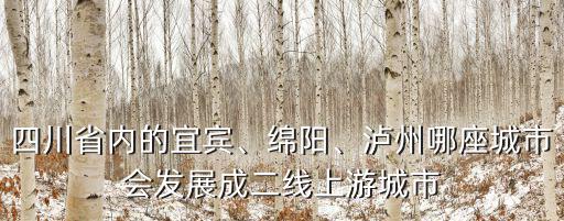 四川省內(nèi)的宜賓、綿陽、瀘州哪座城市會(huì)發(fā)展成二線上游城市