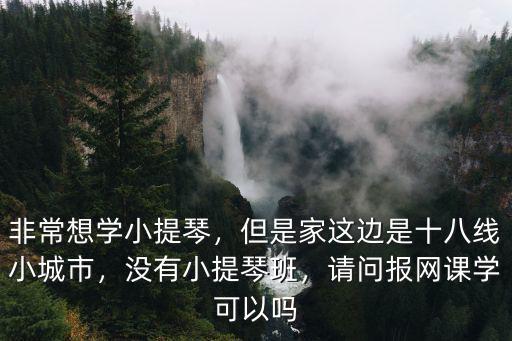 德陽小提琴在哪里學(xué),學(xué)小提琴難嗎