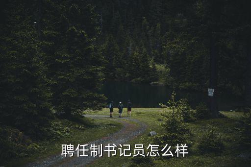 聘任制書記員怎么樣