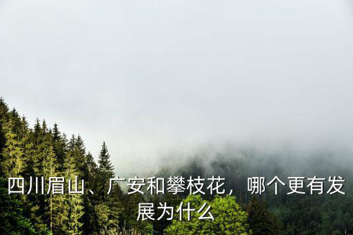 自貢和攀枝花哪里更適合發(fā)展什么,廣安和攀枝花