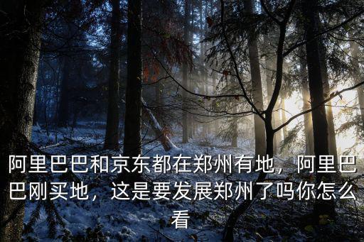 阿里巴巴和京東都在鄭州有地，阿里巴巴剛買地，這是要發展鄭州了嗎你怎么看