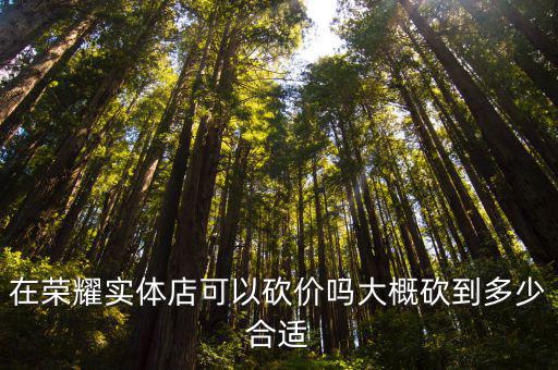 雅安榮耀實體店在哪里,在實體店買榮耀大內存手機
