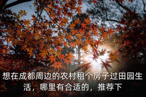 成都哪里可以租吉娃娃,吉娃娃有哪些缺點