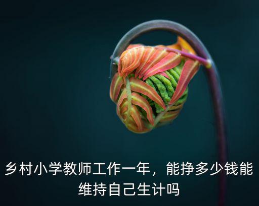 鄉村小學教師工作一年，能掙多少錢能維持自己生計嗎