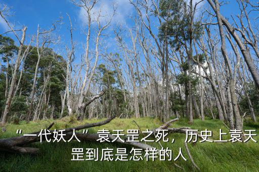 袁天罡成都哪里人,歷史上袁天罡到底是怎樣的人