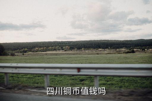 重慶哪里鑒定四川銅幣,如何鑒定重慶大清銅幣的真假