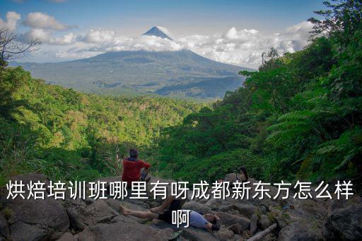 烘焙培訓班哪里有呀成都新東方怎么樣啊