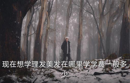 現(xiàn)在想學(xué)理發(fā)美發(fā)在哪里學(xué)學(xué)費(fèi)一般多少