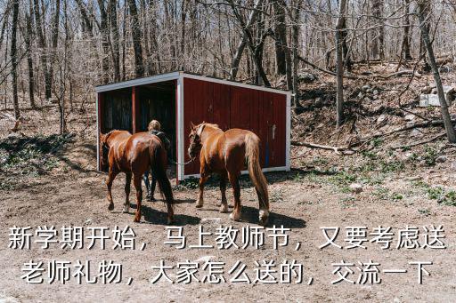 新學期開始，馬上教師節(jié)，又要考慮送老師禮物，大家怎么送的，交流一下