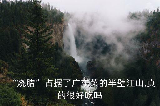“燒臘”占據(jù)了廣東菜的半壁江山,真的很好吃嗎