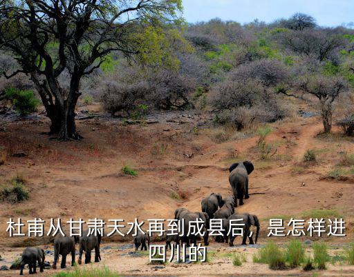 杜甫從成都去了哪里,成都杜甫草堂的魅力在哪里