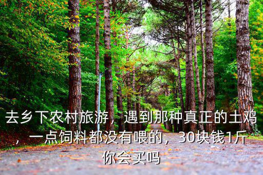 瀘州哪里買土雞,哪里可以買到大量土雞