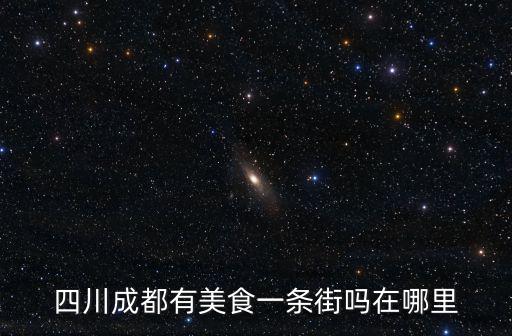 四川成都有美食一條街嗎在哪里