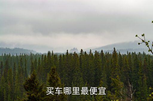 買車哪里最便宜
