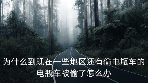 成都電瓶車被偷了去哪里找,電瓶車被偷了怎么辦