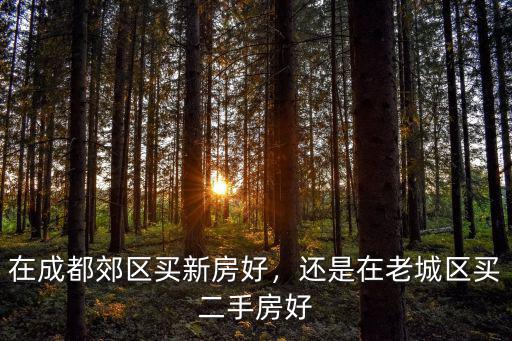 最近的成都老城區在哪里,成都老城區何去何從